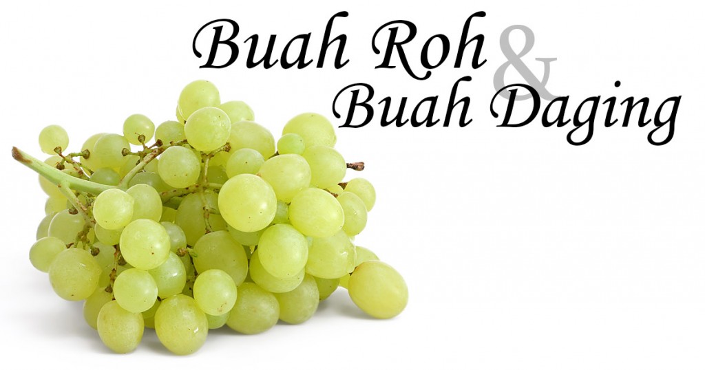 Buah Roh dan Daging