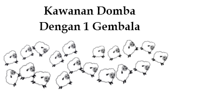 kawanan domba